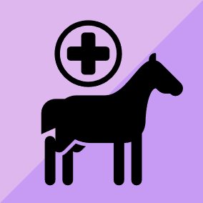 Horse Healthcare