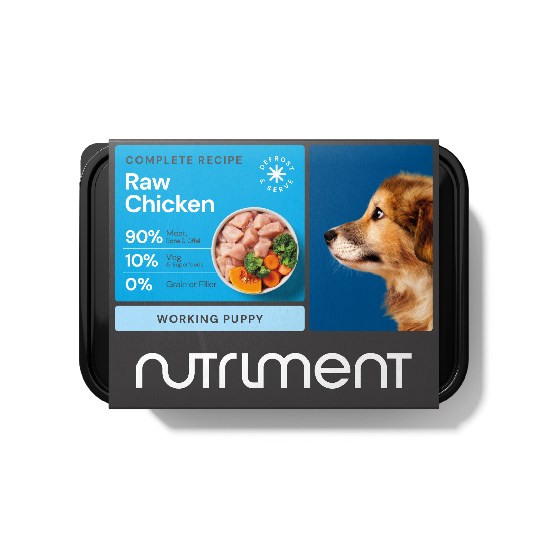 Nutriment Puppy