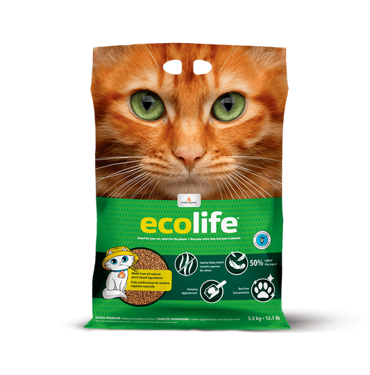 Intersand Ecolife Cat Litter 5.5kg