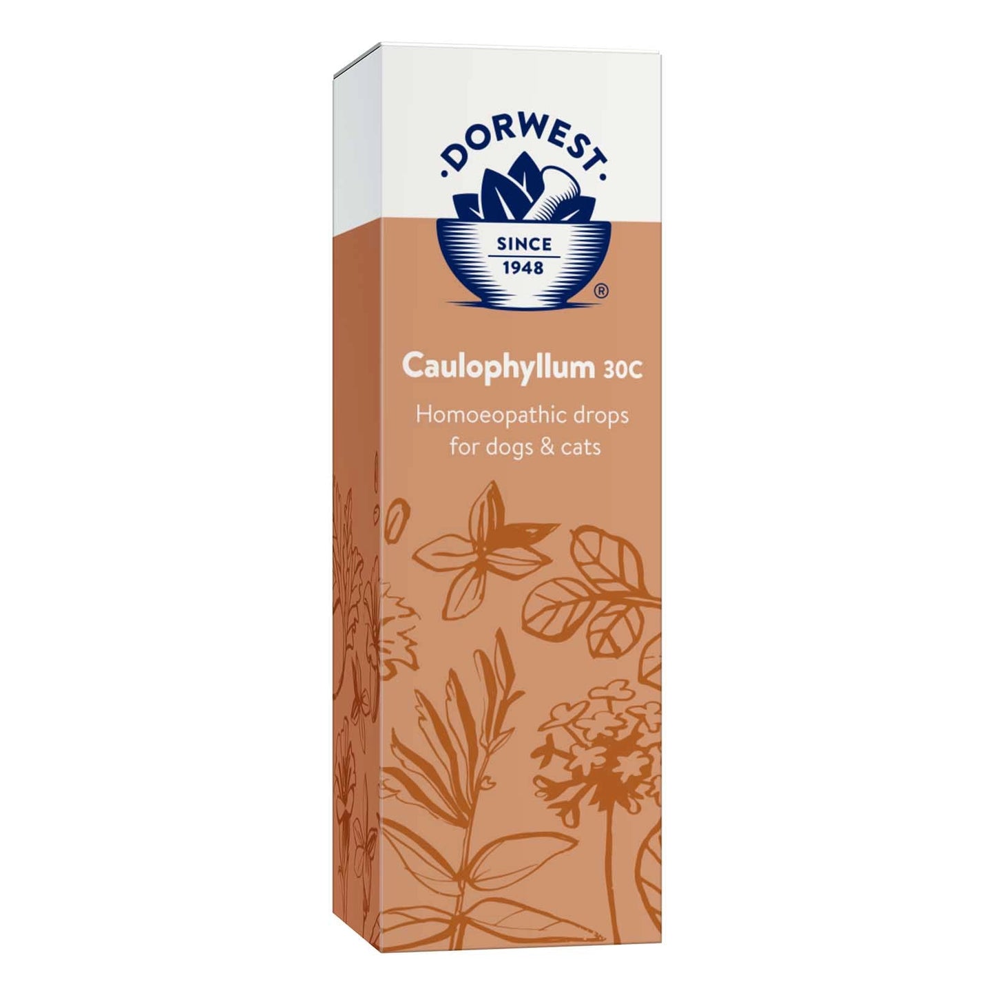 Dorwest Homeopathic Drops - Caulophyllum 30C