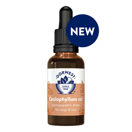 Dorwest Homeopathic Drops - Caulophyllum 30C