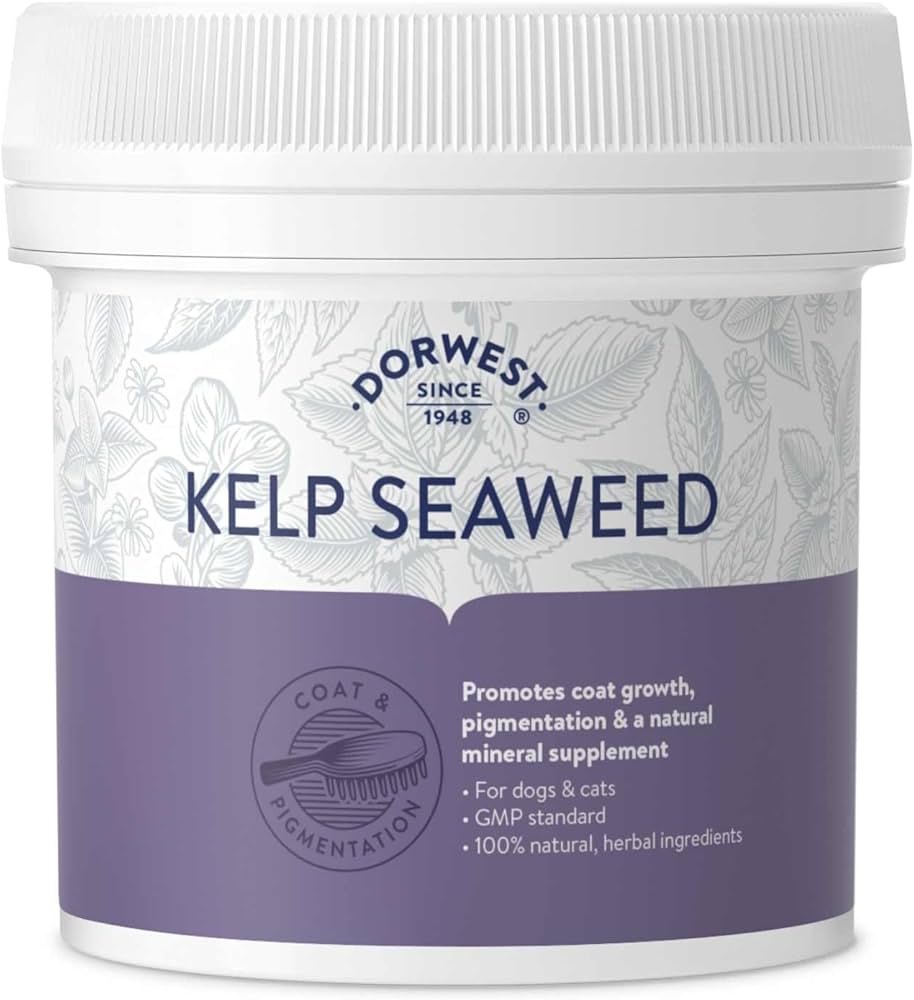 Dorwest - Kelp Seaweed Powder