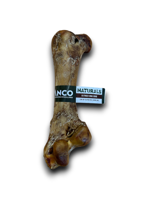 Anco Ostrich Dino Bone