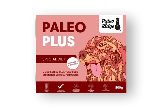 Paleo Ridge Paleo Plus Special Diet 500g