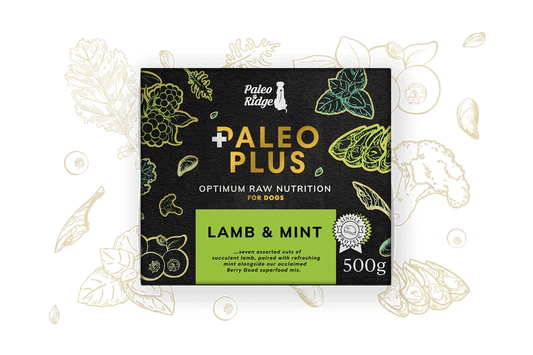 Paleo Ridge Paleo Plus Lamb & Mint 500g