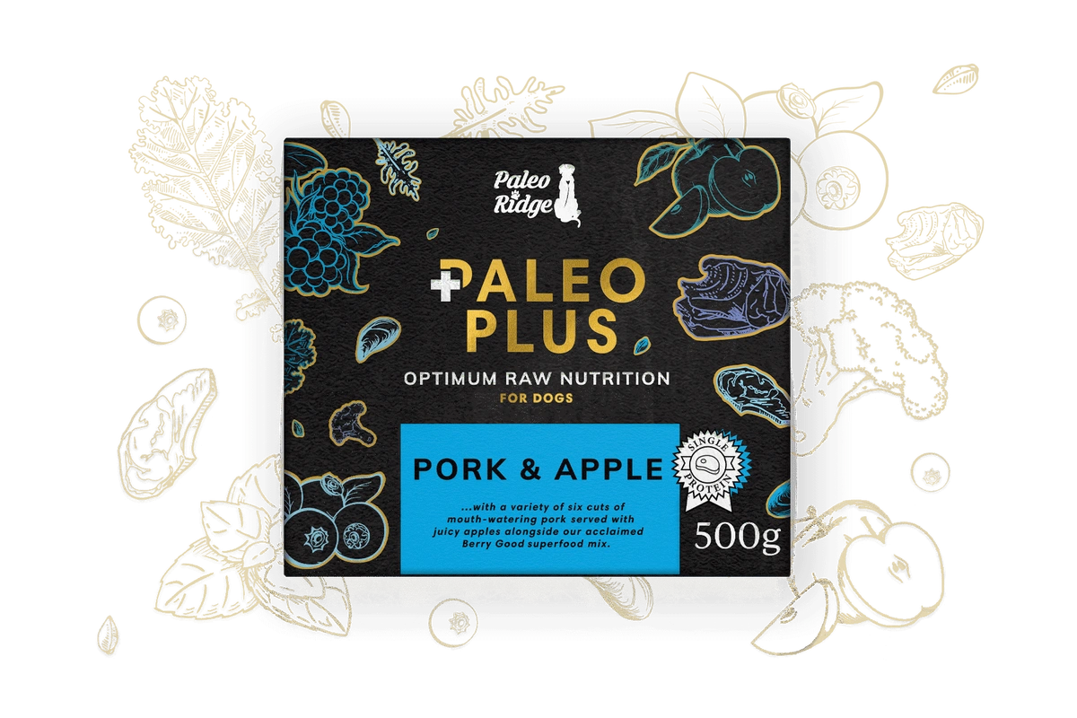 Paleo Ridge Paleo Plus Pork & Apple 500g