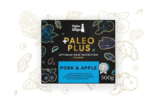 Paleo Ridge Paleo Plus Pork & Apple 500g