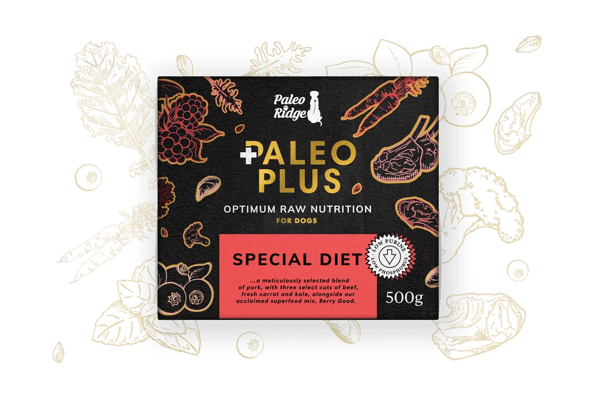 Paleo Ridge Paleo Plus Special Diet 500g