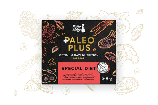 Paleo Ridge Paleo Plus Special Diet 500g