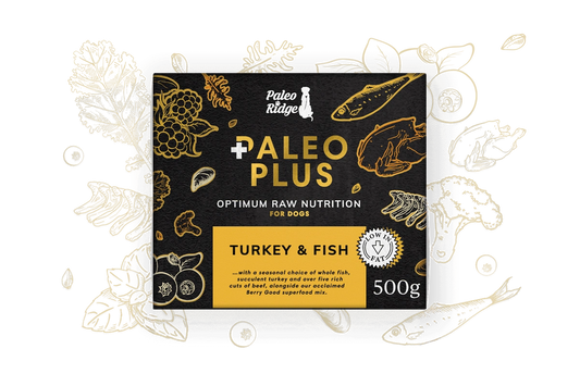 Paleo Ridge Paleo Plus Turkey & Fish 500g