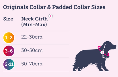 Doodlebone Originals Pattern Collar - Violet Stars