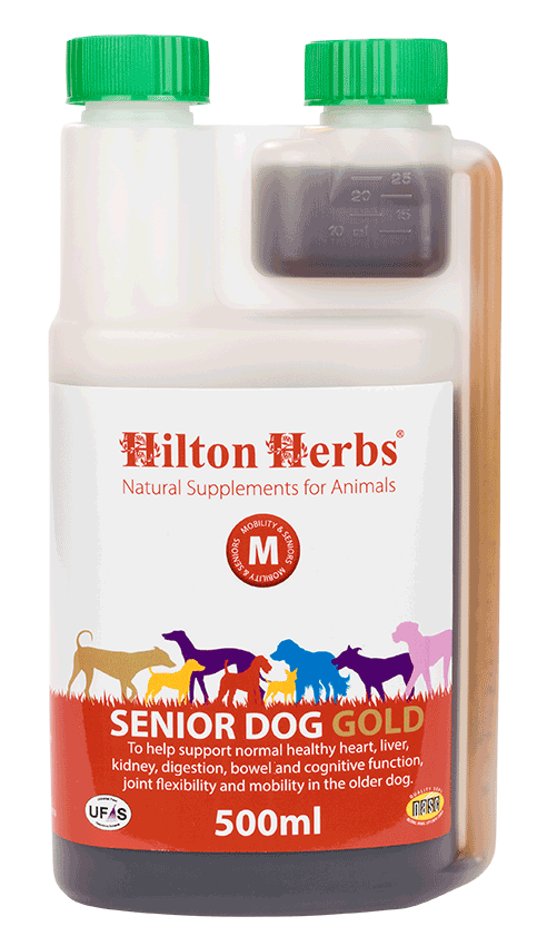 Hilton Herbs Senior Dog Gold