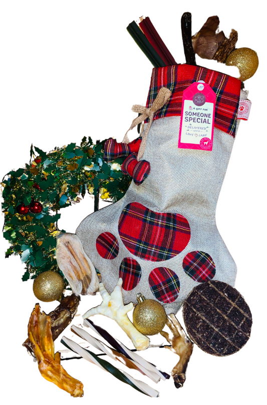 Classic Filled Christmas Stocking For Dogs