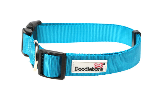 Doodlebone Originals Collar - Aqua