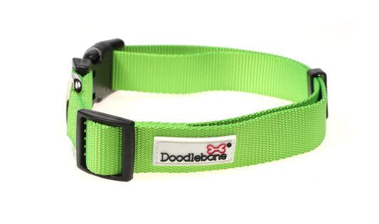 Doodlebone Originals Collar - Apple