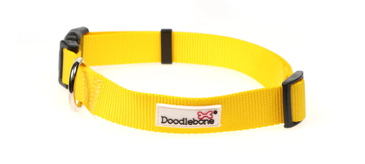 Doodlebone Originals Collar - Sunshine