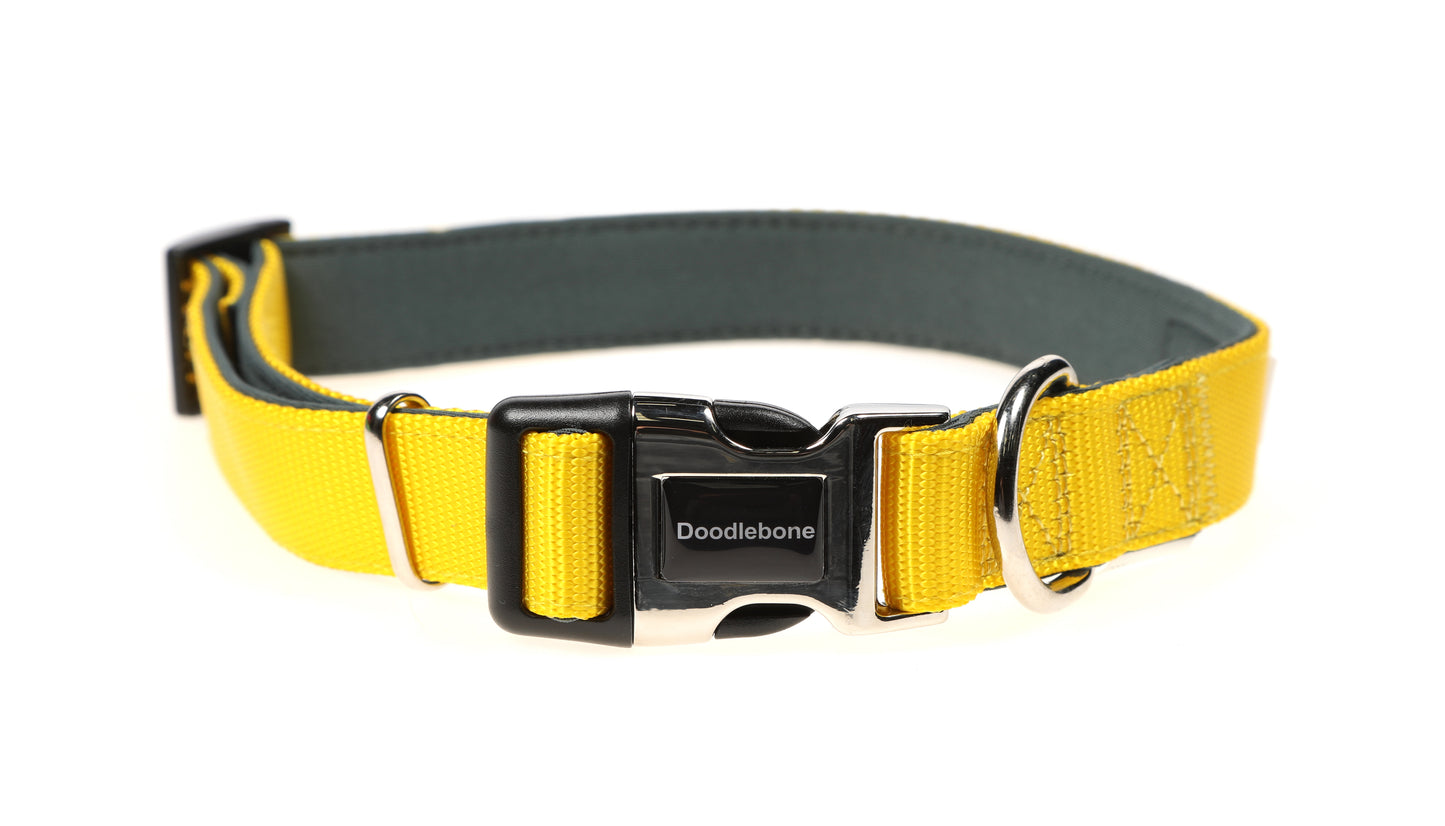 Doodlebone Originals Padded Collar - Sunshine