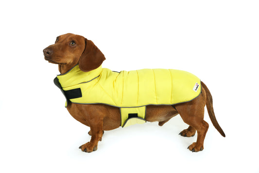 Doodlebone Puffer Jacket 5-7 (Long) Lemon/Smoke