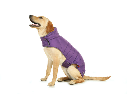 Doodlebone Puffer Jacket 5-7 (Long) Punch/Violet