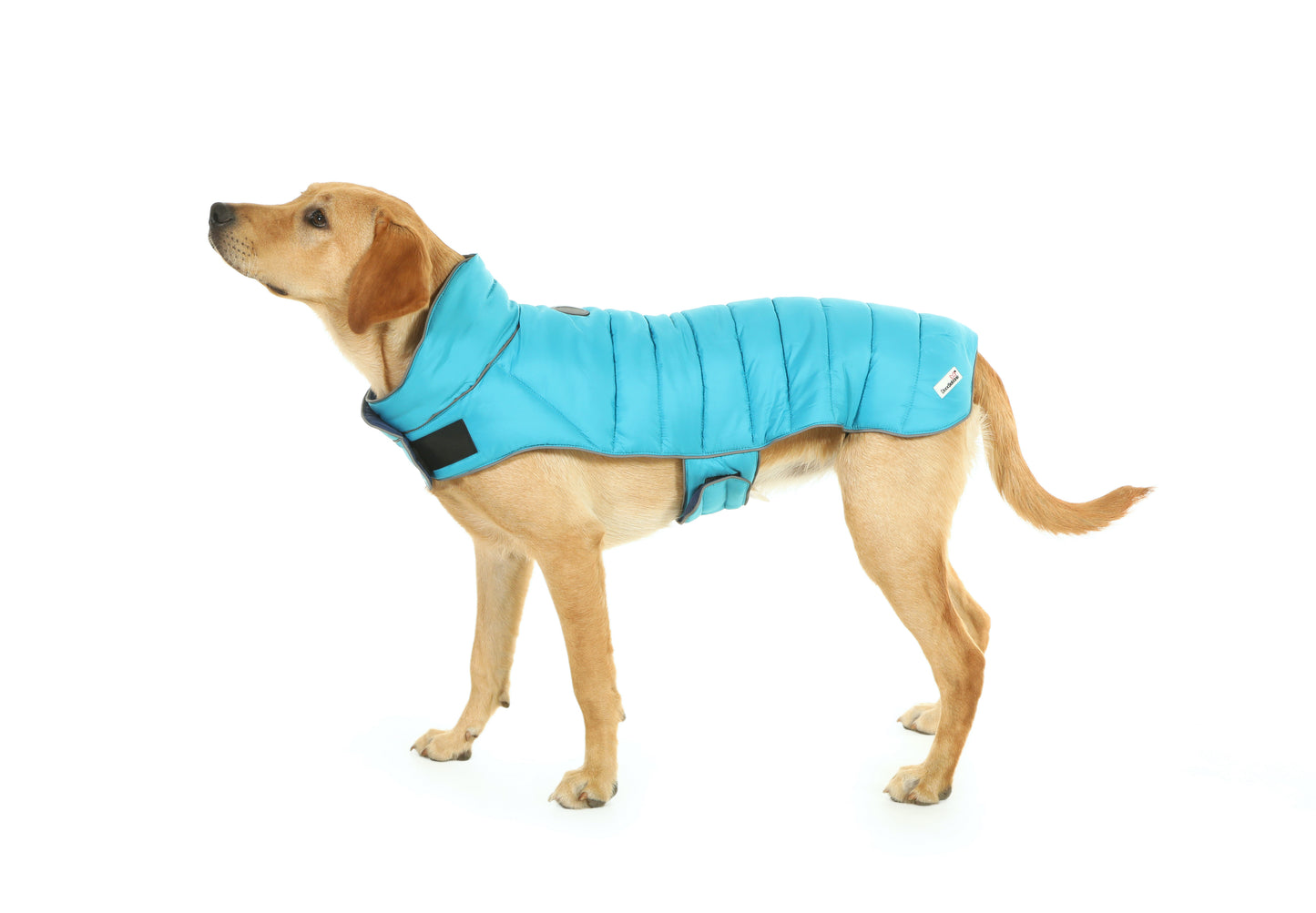 Doodlebone Puffer Jacket 7-10 (Short) Sky/Ocean