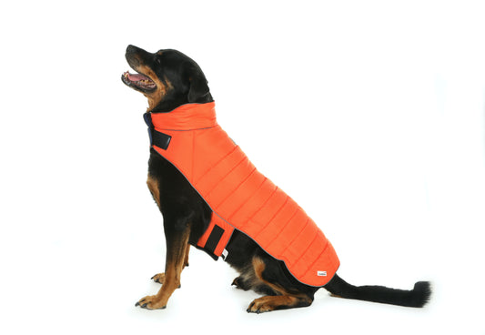 Doodlebone Puffer Jacket 5-7 (Long) Tangerine/Ocean